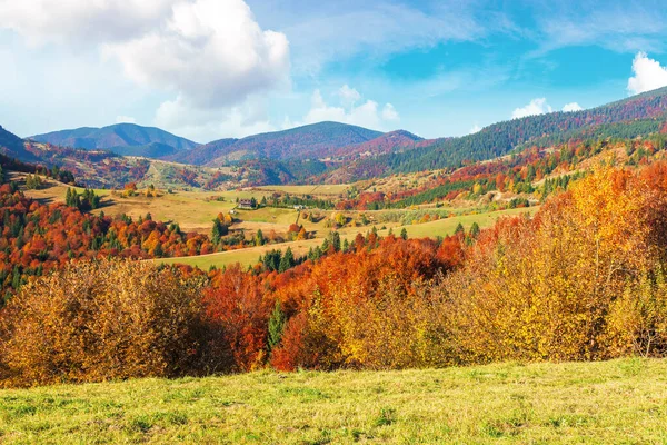 Красива сільська місцевість Карпатської гори — стокове фото