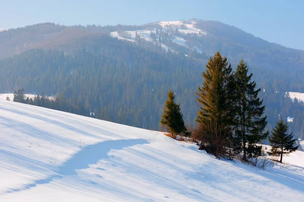Zimní pohádka v Karpatských horách — Stock fotografie