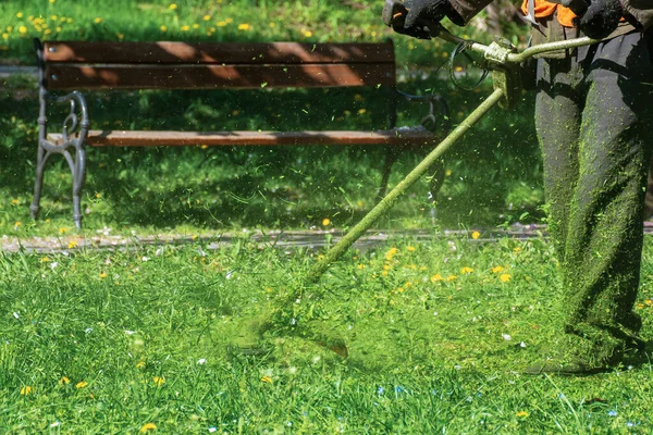 公園で草を刈るプロ — ストック写真