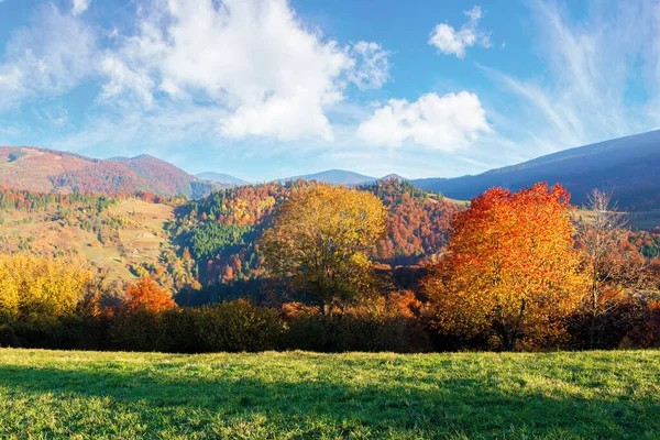 Beau paysage d'automne après-midi en montagne — Photo