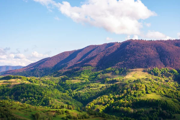 Prachtige bergachtige landschap in het voorjaar — Stockfoto