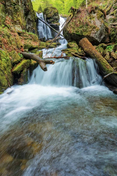 Rychlý potok mezi skalami v lese — Stock fotografie