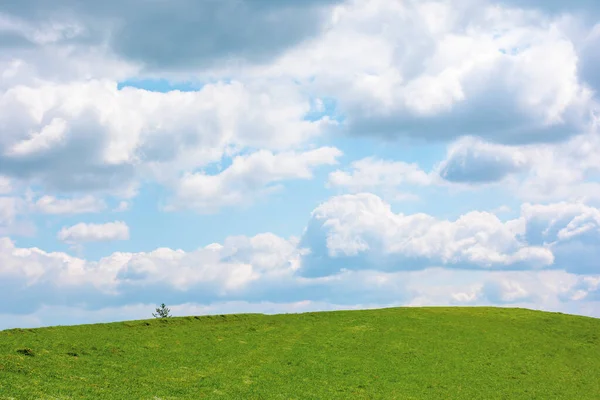 Graswiese unter wolkenverhangenem Himmel — Stockfoto