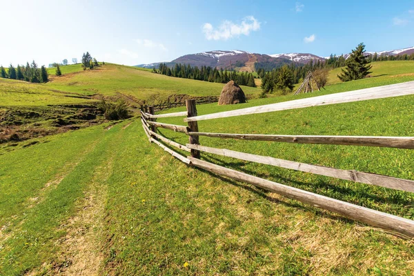 Paisagem rural transcarpática na primavera — Fotografia de Stock