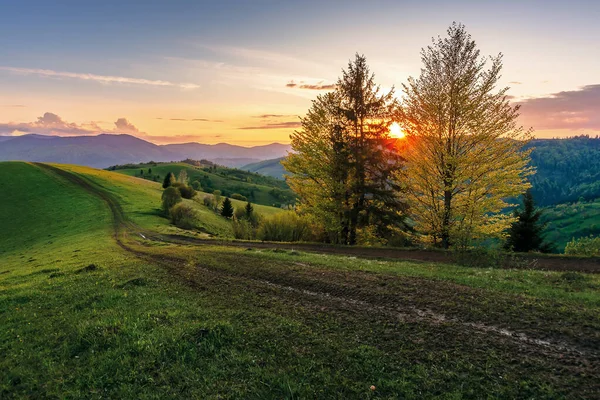 Campo de los cárpatos al atardecer en primavera —  Fotos de Stock