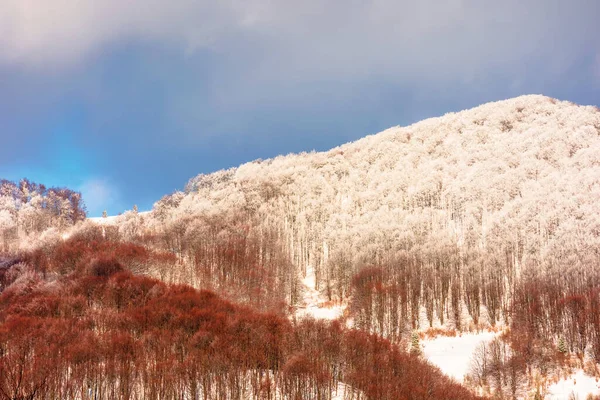 Zimowa sceneria w górach — Zdjęcie stockowe