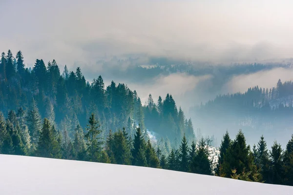 Maestosa campagna all'alba in inverno Fotografia Stock