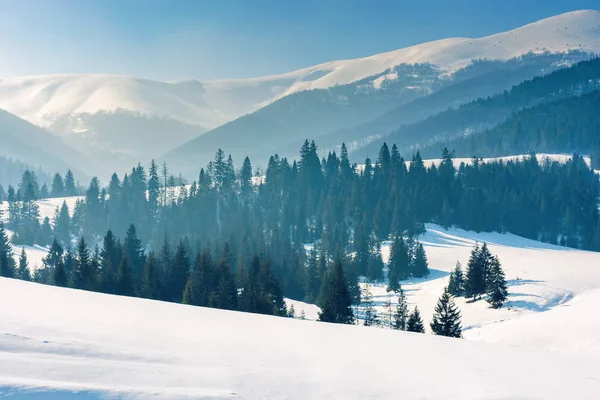 Hornatá krajina v zimě — Stock fotografie
