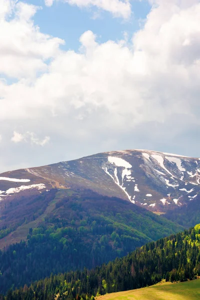 İlkbaharda dağ ilahisi — Stok fotoğraf