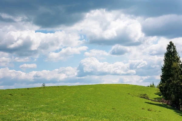 Graswiese unter wolkenverhangenem Himmel — Stockfoto