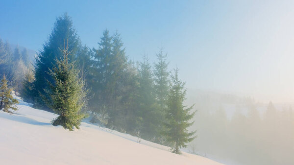 winter fairy tale scenery in mountains