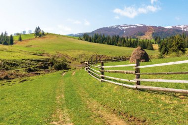 İlkbaharda Transcarpathian kırsal alanı