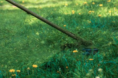 Profesyonel çim biçme sanatçısı