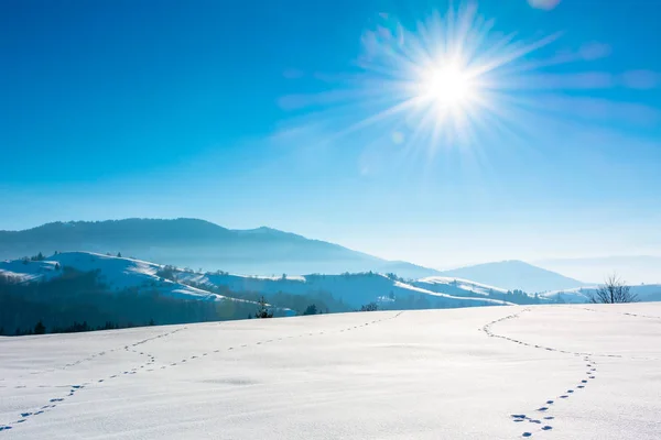 Campo montañoso en invierno — Foto de Stock