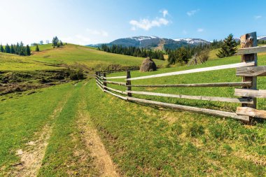 İlkbaharda Transcarpathian kırsal alanı