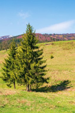 bahar içinde dağlık kırsal