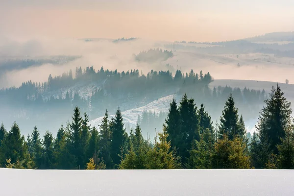 Majestátní krajina při východu slunce v zimě Royalty Free Stock Fotografie