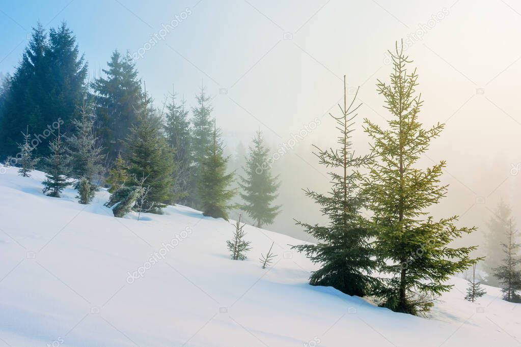 winter fairy tale scenery in mountains