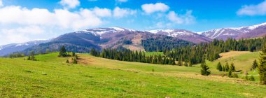 İlkbaharda Karpatlar kırsalında