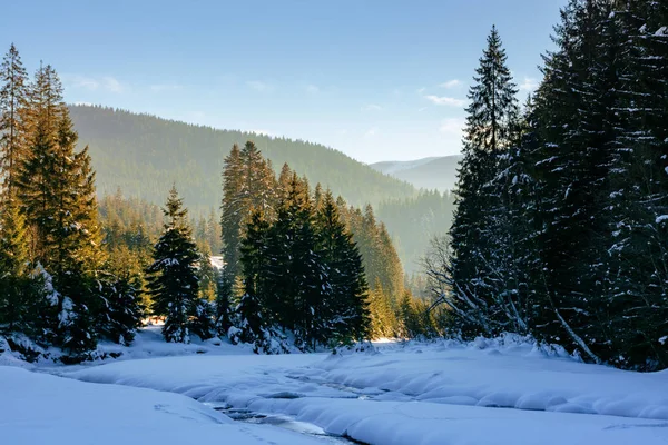 Donmuş ve karla kaplı dağ nehri — Stok fotoğraf