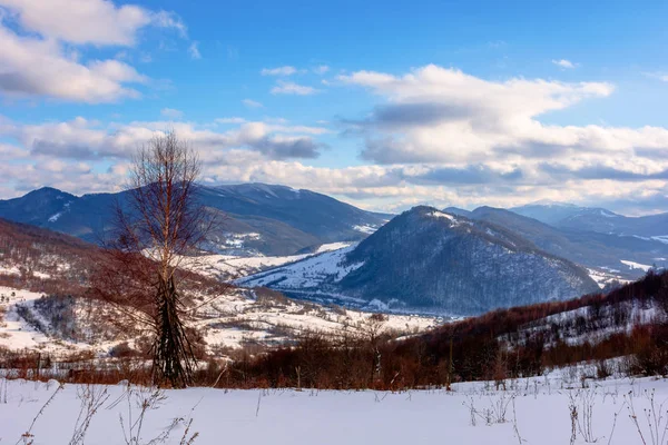 Güneşli bir kış gününde dağlık kırsal alan — Stok fotoğraf