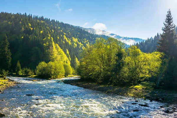 Górska rzeka wśród lasów — Zdjęcie stockowe