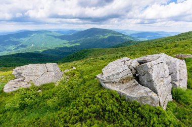 Yazın güzel dağ manzarası