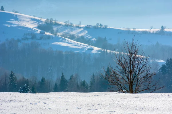 Campagna montuosa in inverno — Foto Stock