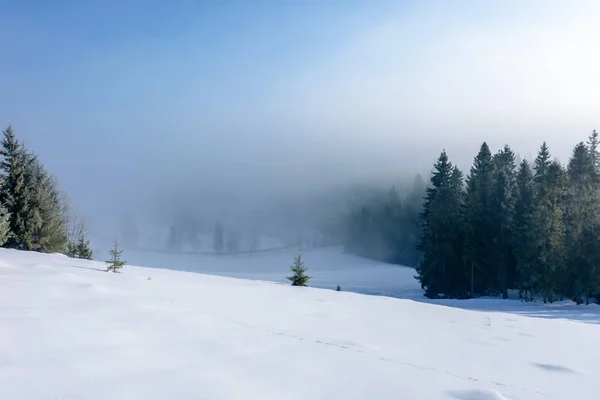 Vinterlandskap på sunrise — Stockfoto