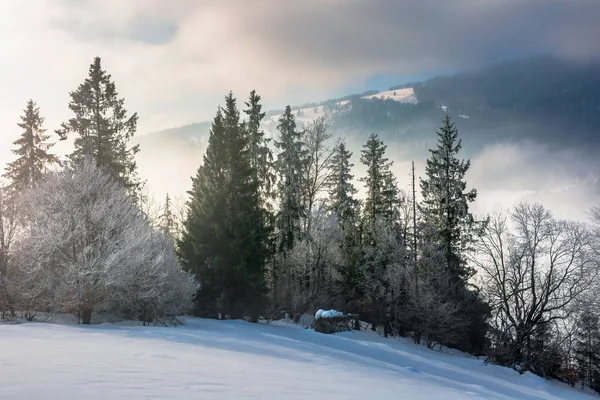 Dramático amanecer invierno — Foto de Stock