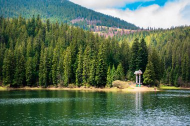 Dağlardaki kozalaklı ormanların arasında.