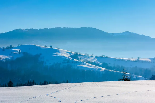 Campo montañoso en invierno — Foto de Stock