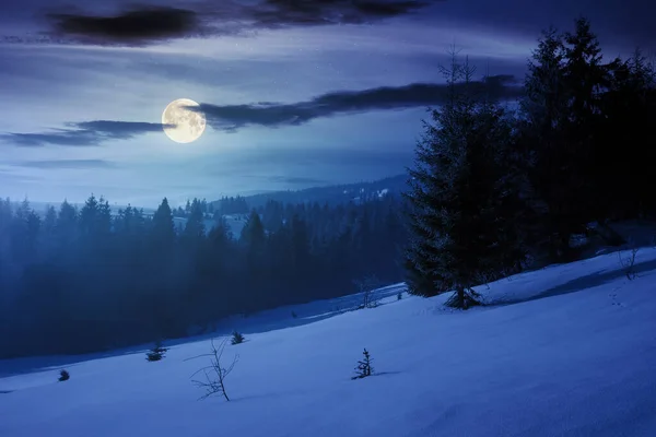 Wintermärchenkulisse in den Bergen bei Nacht — Stockfoto