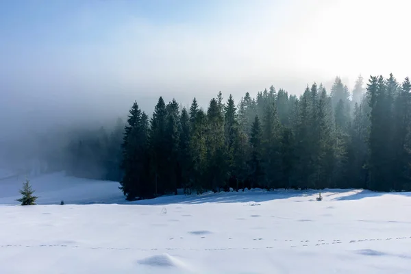 Winterlandschaft bei Sonnenaufgang — Stockfoto