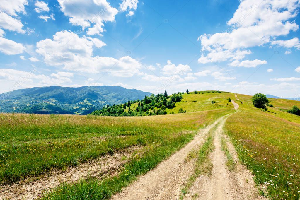 mountain rural landscape in summertime