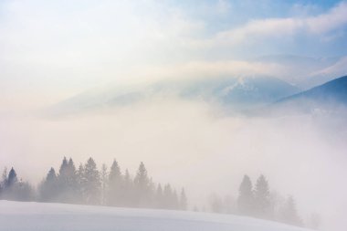 Dağlarda kar fırtınası