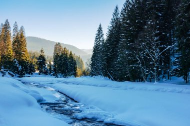 donmuş ve karla kaplı dağ nehri