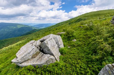 Yazın güzel dağ manzarası