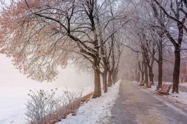冬季最长的林登小巷 — 图库照片