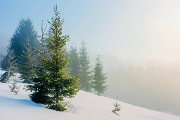 Зимняя сказка пейзаж в горах — стоковое фото