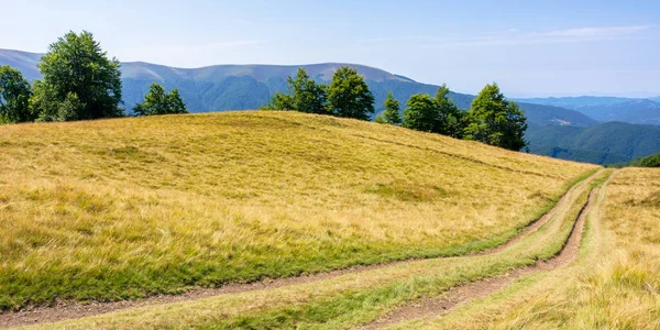 Mountainous countryside in summertime — Stock Photo, Image