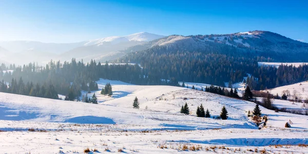 Kışın dağlık kırlarda — Stok fotoğraf