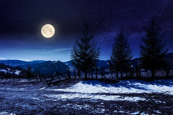夜は山の中腹にあるトウヒの木 — ストック写真