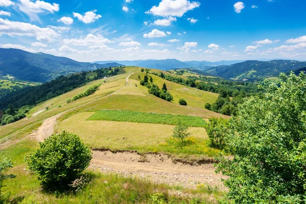 Гірський сільський пейзаж в літній час — стокове фото