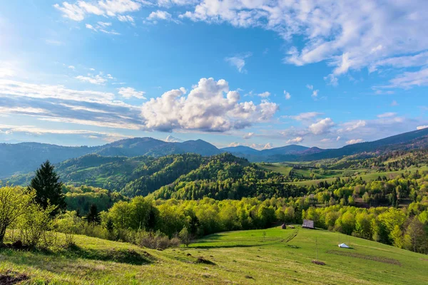 Karpaten Landschaft im Frühling — Stockfoto
