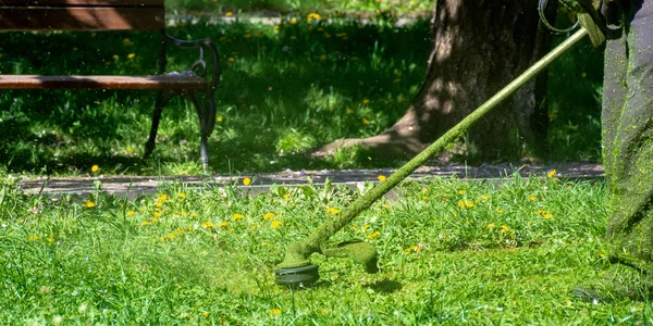 grass care with brush cutter