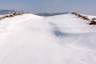 Doğal kar beyazı dokusu