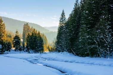 donmuş ve karla kaplı dağ nehri