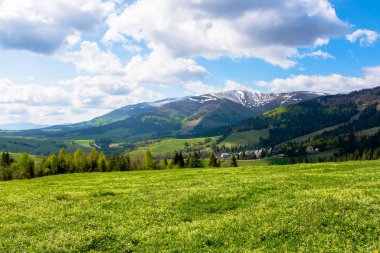Baharda dağlık kırsal alan