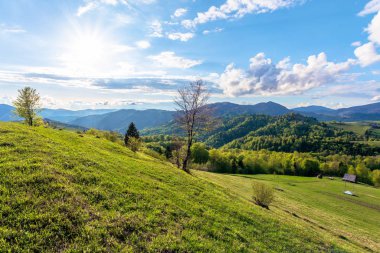 İlkbaharda Karpatlar kırsalda